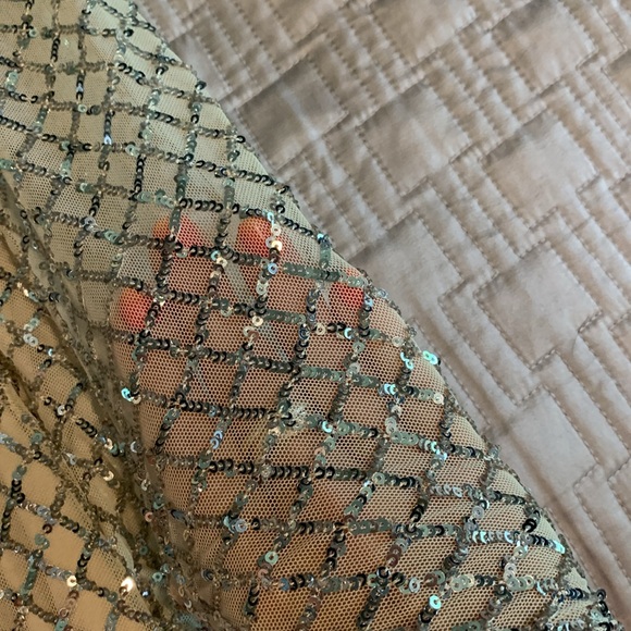 Semi/Formal Sequin Dress - Picture 3 of 4